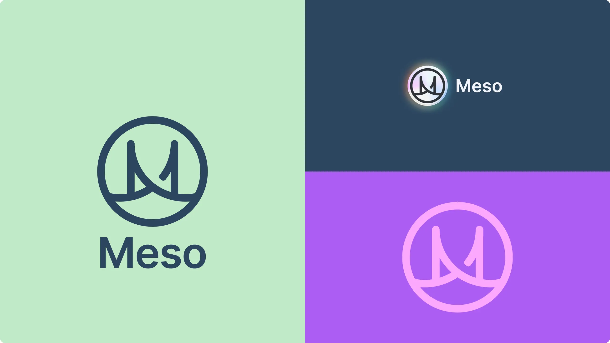 Meso logo